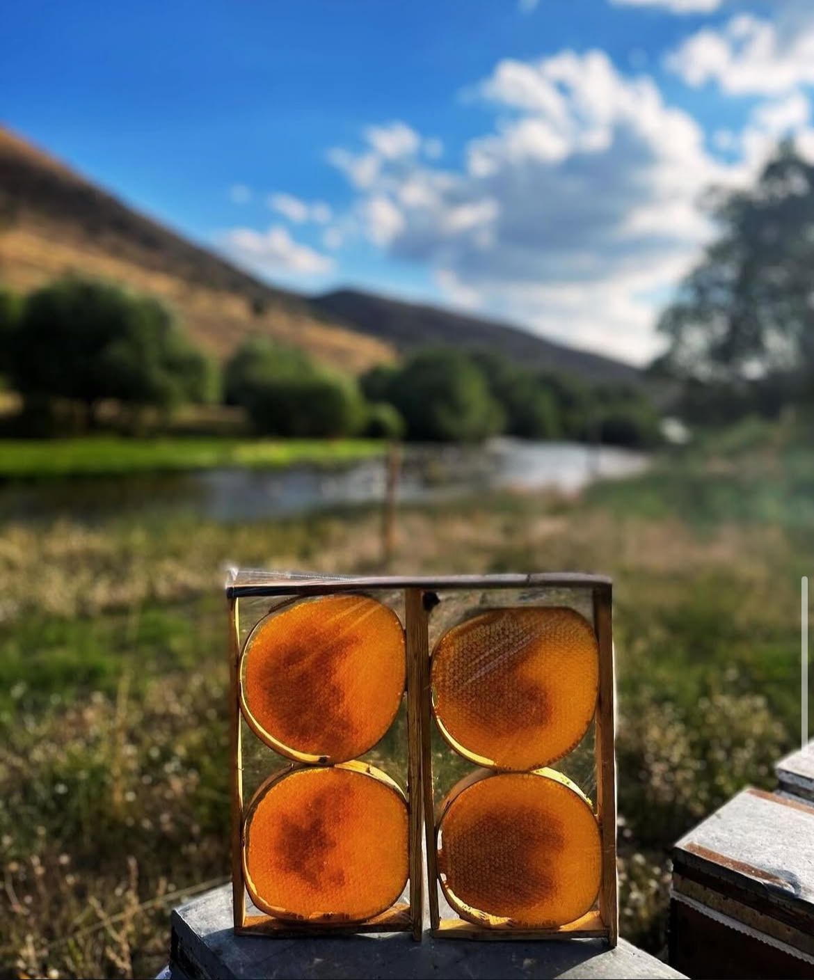 Pulat Arıcılık ve Bal Ürünleri